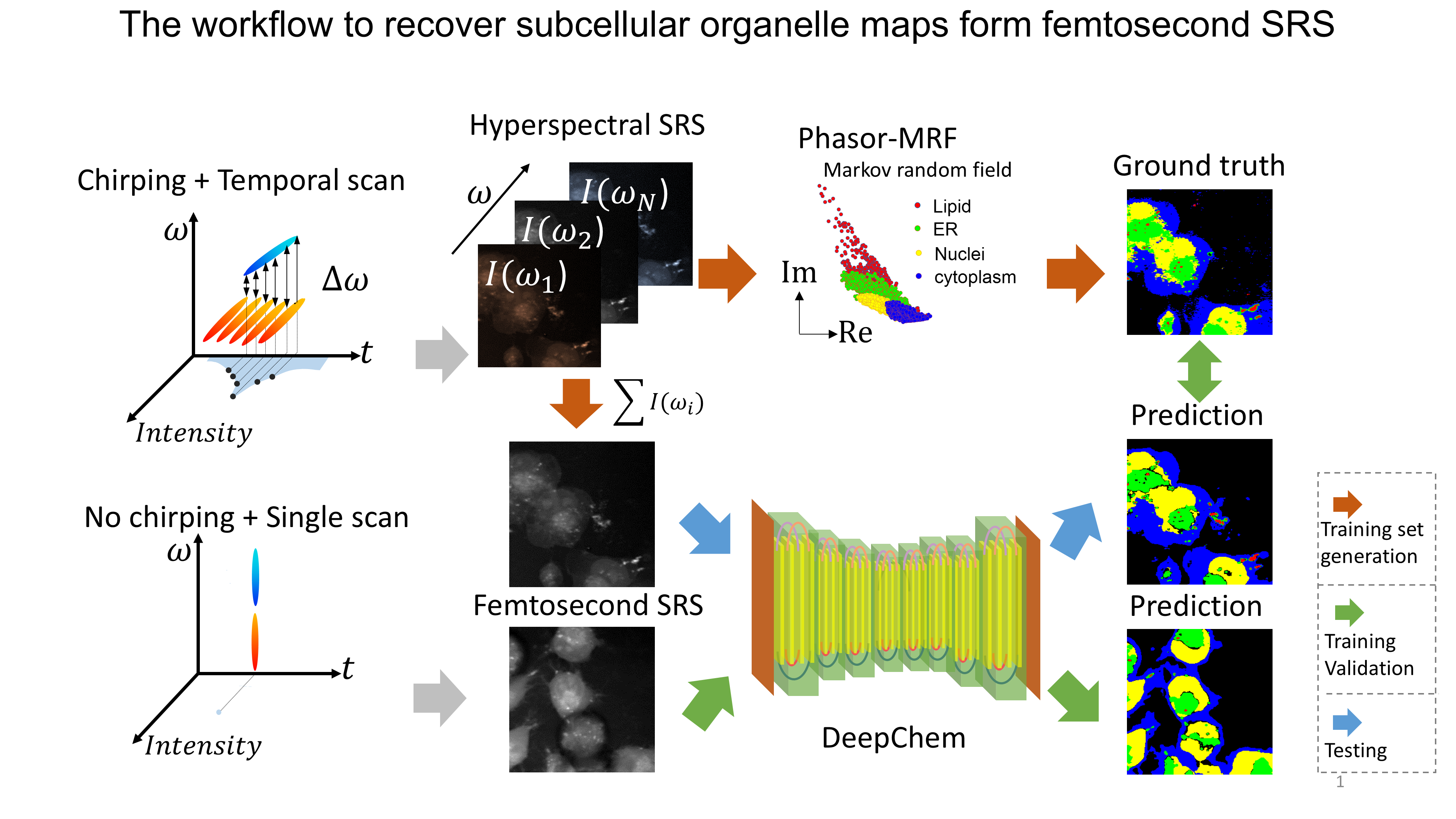 High-Speed Chemical Imaging by Dense-Net Learning of Femtosecond Stimulated Raman Scattering
