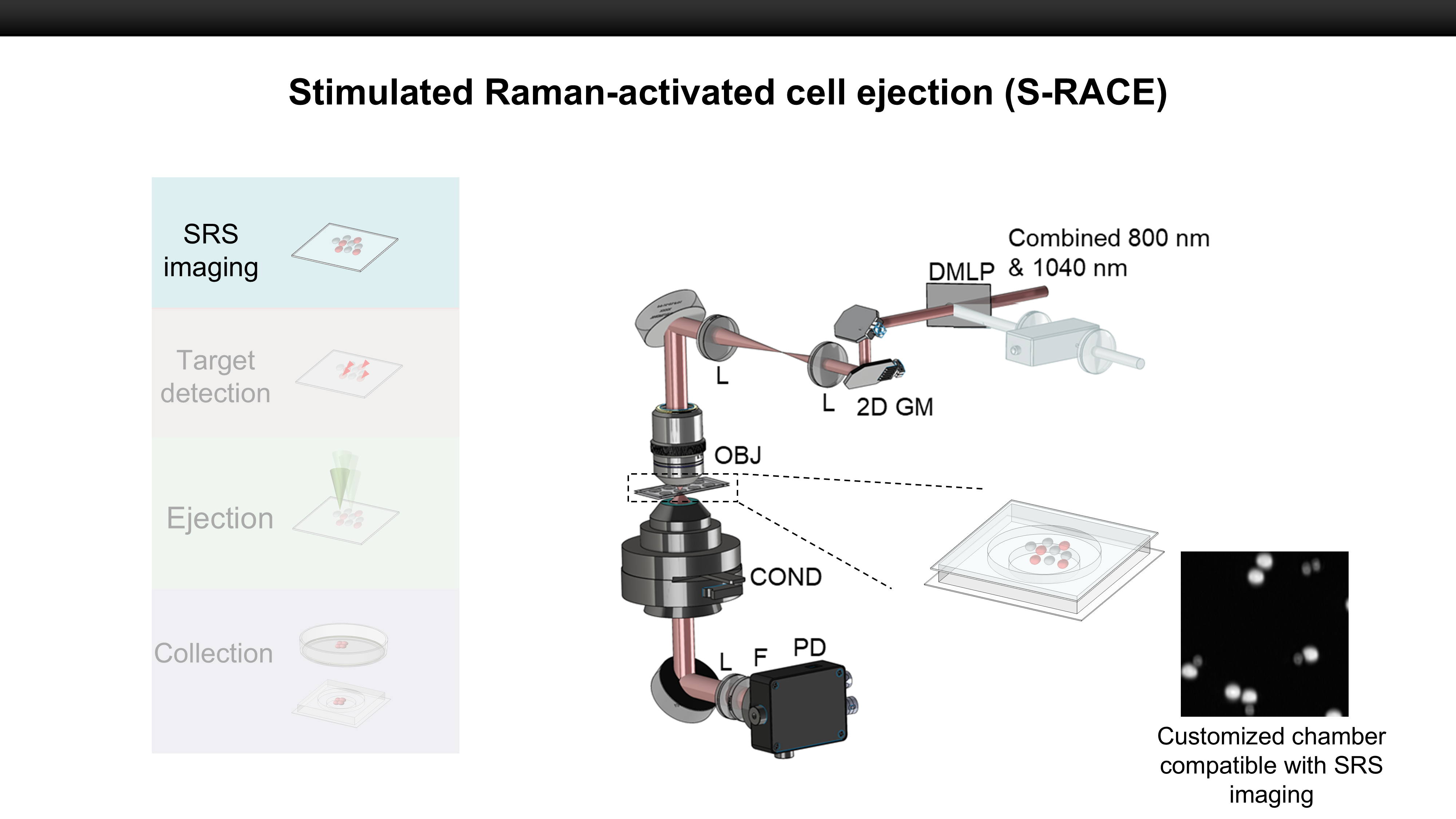 Overview of the Stimulated Raman Activated Cell Sorting system.