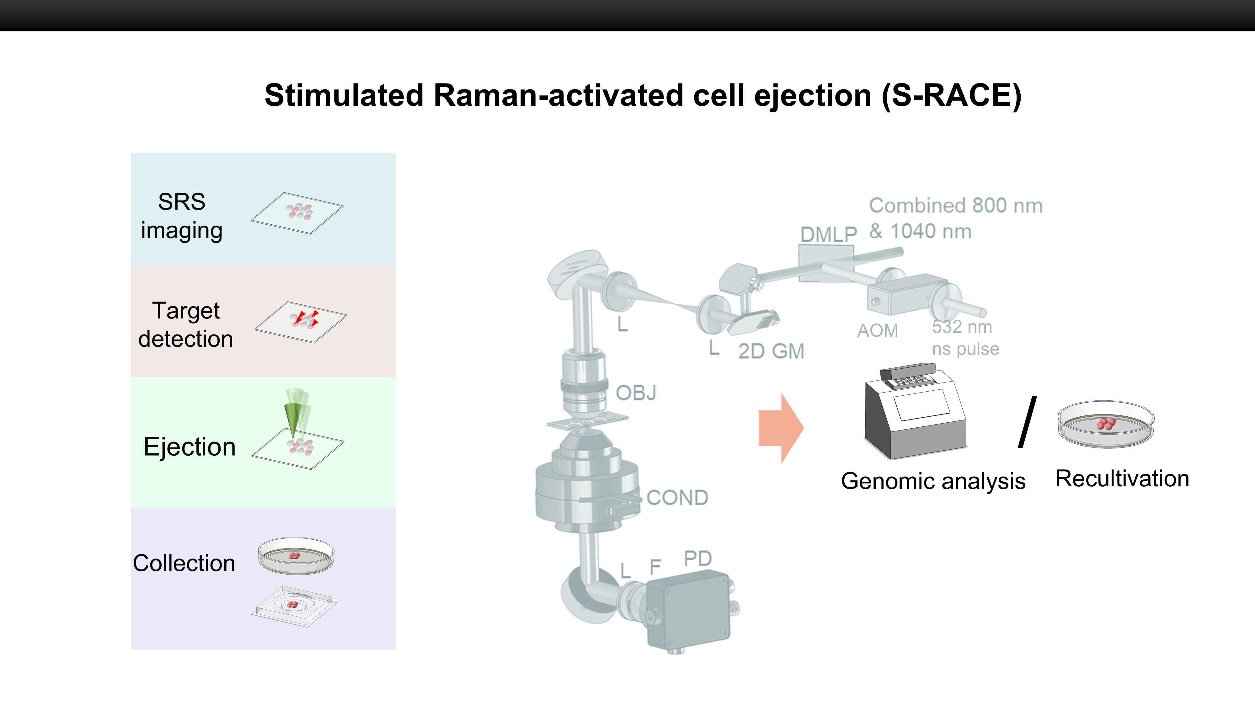 Downstream analysis of the sorted cells.
